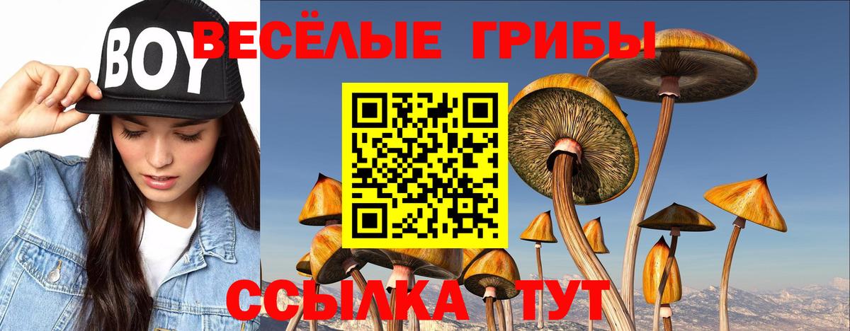 Галлюциногенные грибы Psilocybe  Галлюциногенные грибы Cubensis  Верхняя Пышма  Вход с VPN 